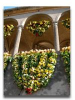 <p> Rocca in Fiore 2011 - La Loggetta </p>