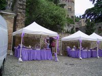<p> La Rocca in fiore 2013 - Il castello</p>