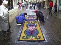 <p> La Rocca in fiore 2013 - Infiorata</p>