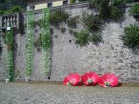<p> Rocca in fiore 2013 - Addobbi</p>